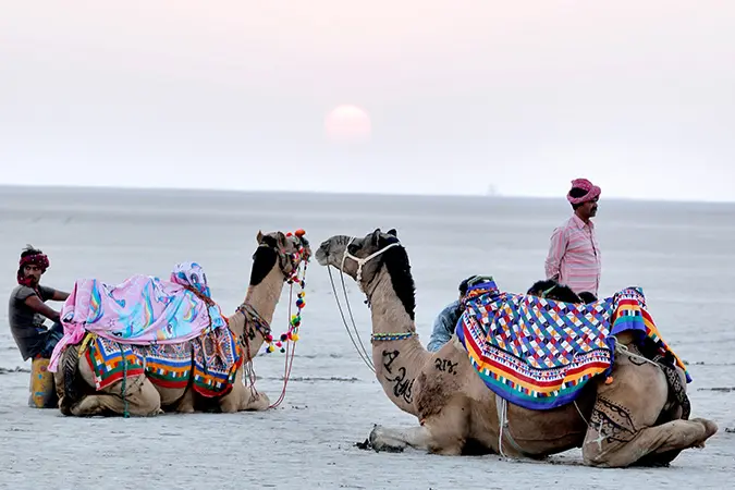 White Rann View