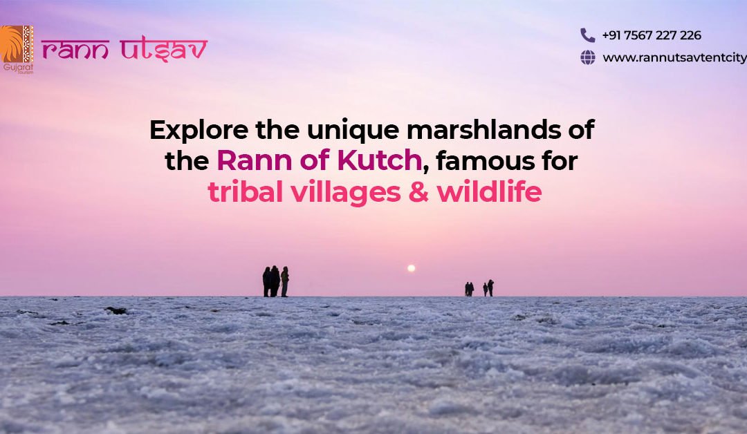 Explore the unique marshlands of the Rann of Kutch, famous for tribal villages and wildlife