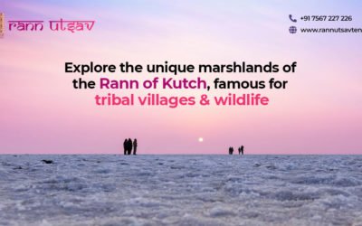 Explore the unique marshlands of the Rann of Kutch, famous for tribal villages and wildlife