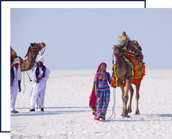 About White Rann Resort