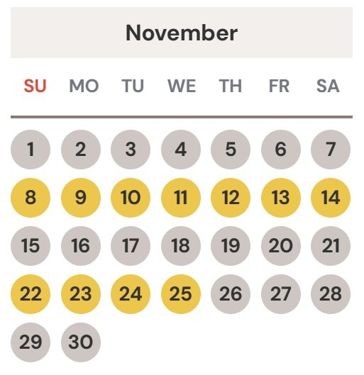 Dholavira Nov 2026